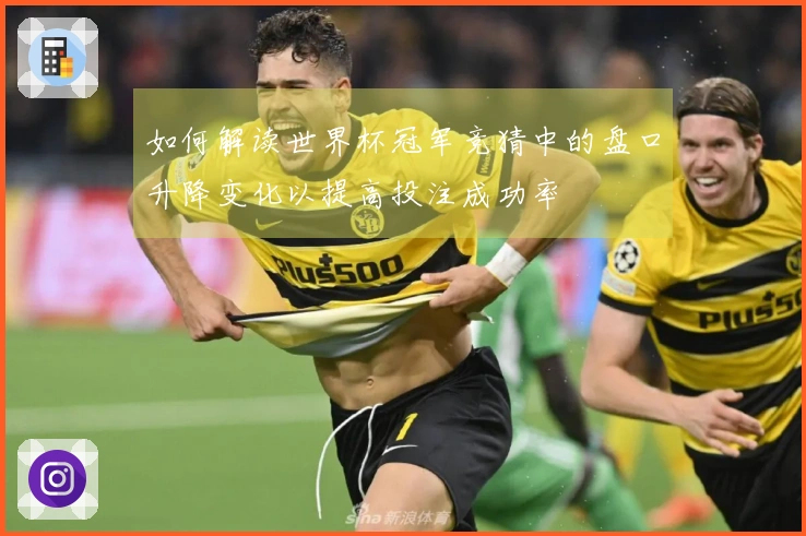 如何解读世界杯冠军竞猜中的盘口升降变化以提高投注成功率