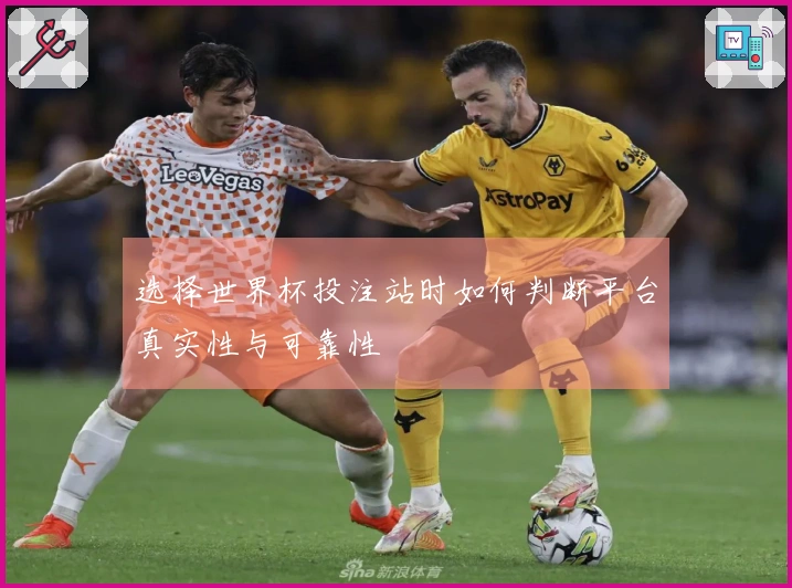 选择世界杯投注站时如何判断平台真实性与可靠性