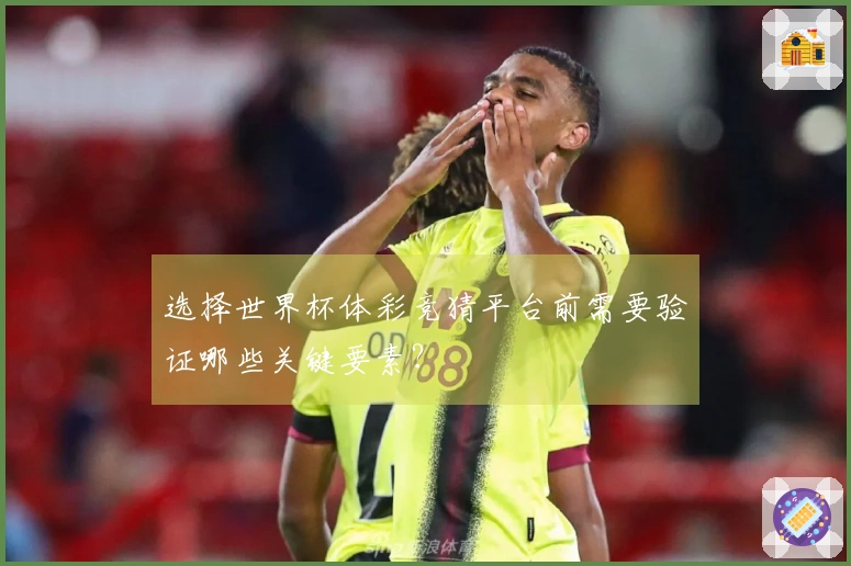 选择世界杯体彩竞猜平台前需要验证哪些关键要素？