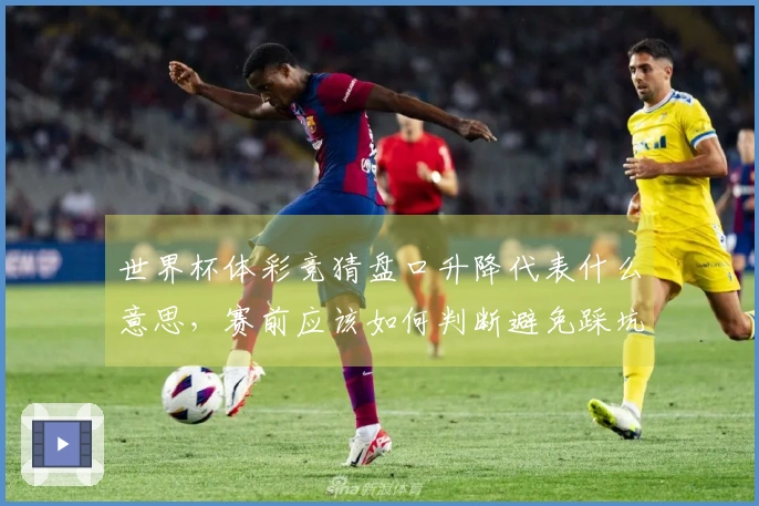 世界杯体彩竞猜盘口升降代表什么意思，赛前应该如何判断避免踩坑