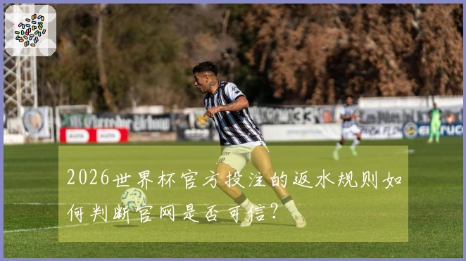 2026世界杯官方投注的返水规则如何判断官网是否可信？