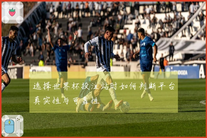 选择世界杯投注站时如何判断平台真实性与可靠性