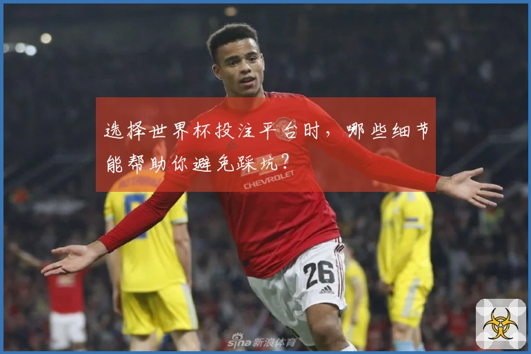 选择世界杯投注平台时，哪些细节能帮助你避免踩坑？