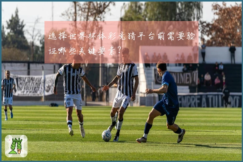 选择世界杯体彩竞猜平台前需要验证哪些关键要素？